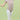 Contrast Neckline Detail on Short Sleeve Leotard - Slemon