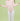 Long Sleeve Leotard with Front Detail - Slemon