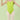 Classic Camisole V-Neck Dance Leotard - Slemon