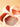 Soft stretch fabric conforming to foot on beginner dance shoes - Slemon
